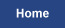 Home Button