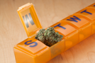 Marijuana in a Pill Case
