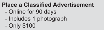 Place an Online Ad